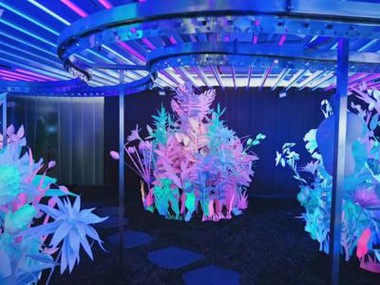 Dekorazzjonijiet tal-Karta tal-Effett tal-Fluworexxenza